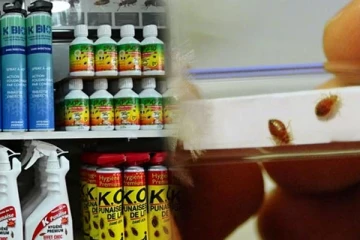 மோசமான ஒரு விடயத்துக்காக தலைப்புச் செய்தியாகியுள்ள பிரான்ஸ்