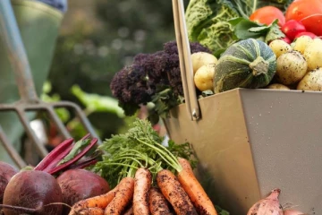 மரக்கறி விலையில் ஏற்படவுள்ள மாற்றம்