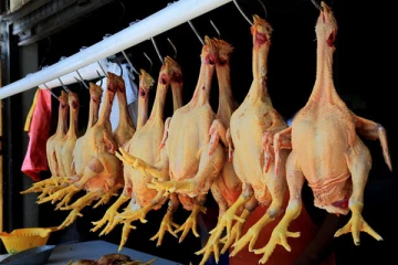 கோழி இறைச்சிக்கு கட்டுப்பாட்டு சில்லறை விலை