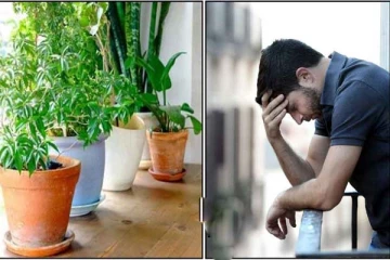 வீட்டில் மகிழ்ச்சியே இல்லையா? இந்த செடிகள் இருந்தால் உடனே அகற்றிடுங்க