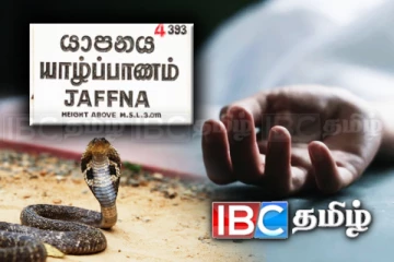 யாழில் ஆலயத்திற்கு சென்ற இளைஞனுக்கு நேர்ந்த பரிதாபம்