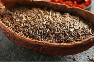 சீரகத்தை இந்த பொருட்களுடன் சேர்த்து சாப்பிடுங்க... பல நன்மைகள் கிடைக்குமாம்!