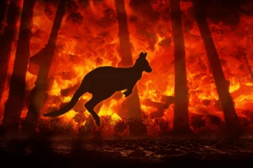 அவுஸ்திரேலிய காட்டுத்தீ: அதிகரிக்கும் காற்றின் வேகம்; ஆயிரக்கணக்கான வீடுகளுக்கு எச்சரிக்கை!