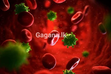 මේ දිනවල පැතිර යන මරණය පවා ඇතිවිය හැකි රෝගී තත්ත්වය ගැන දැනුවත්වන්න..!