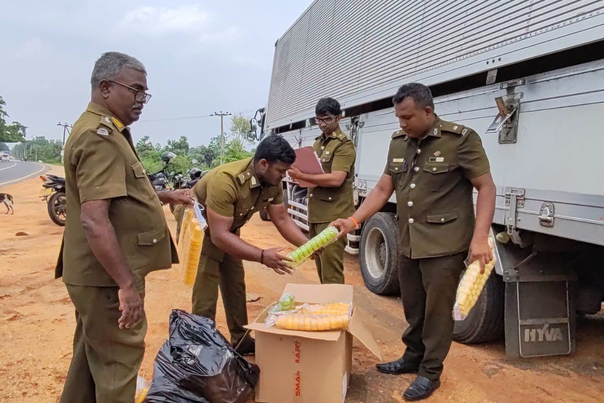 வவுனியாவில் காலாவதியான ஐஸ்கிரீம் கோன்கள் பறிமுதல் | Expired Ice Cream Cones Seized In Vavuniya