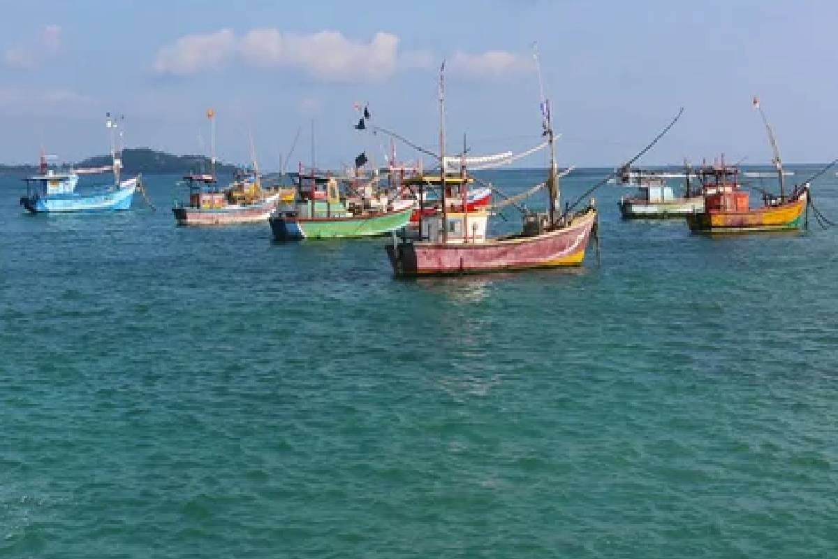 கிழக்கு கடற்பரப்பில் சட்டவிரோத நடவடிக்கைகள் ; அரசின் உடனடி தலையீட்டை கோரும் ஹிஸ்புல்லாஹ் | Illegal Activities In Eastern Seaboard Hezbollah