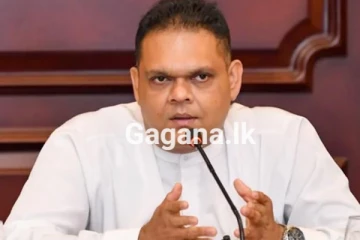 වැඩබලන මුදල් ඇමතිගෙන් දේශීය ණය ගැන විශේෂ ප්‍රකාශයක්..!