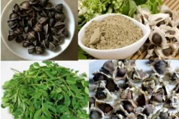 இந்த ஒன்றை மட்டும் சாப்பிட்டால் இத்தனை நோய்கள் குணமாகுமா! இது எளிதாக கிடைக்கும் உணவு பொருளும் கூட