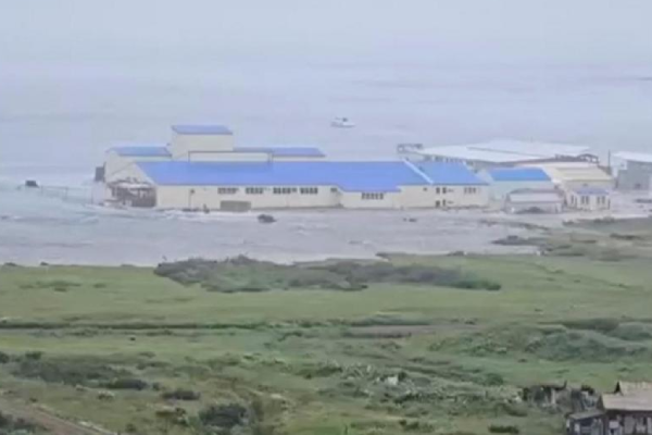 ஹவாயில் வீரியமடையும் சுனாமி அலைகள்.. தொடரும் பதற்றநிலை | Tsunami Us Hawaii Japan Russia Water Seen Receding