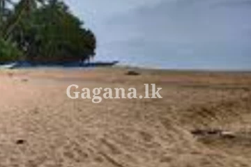 වෙරළ තීරයකින් කඳින් වෙන්කළ හිසක් හමු වෙලා.