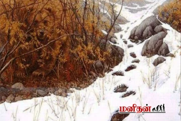 படத்தில் தெரியும் கால்தடங்களுக்கு சொந்தமான விலங்கு எங்கே உள்ளது?