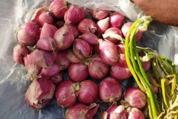 சின்ன வெங்காயத்தில் இருக்கும் எண்ணற்ற மருத்துவ குணங்கள்! தவறாம பயன்படுத்துங்க