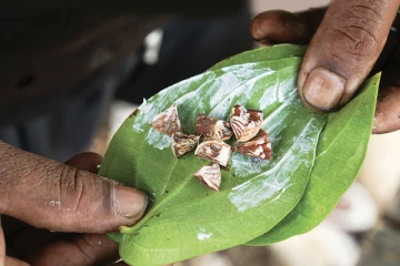 யாழில் வெற்றிலை மென்றவருக்கு 40 ரூபா ஆயிரம் தண்டம்
