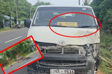 அரச வாகனம் மோதி ஐந்தறிவு ஜீவன் பலி