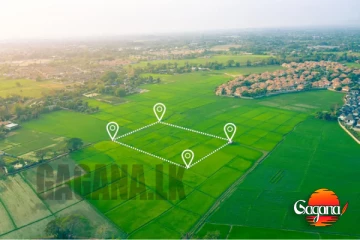 තමිල්නාඩු රජයෙන් දුප්පතුන්ට නොමිලේ ඉඩම් ආධාර