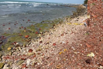 ஈமக்கிரியை கழிவுகளால் அபாய நிலையை அடையும் யாழ்ப்பாண கீரிமலை