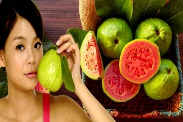 சளி தொல்லையை விரட்டியடிக்கும் கொய்யாபழம்! தினமும் சாப்பிடலாமா?