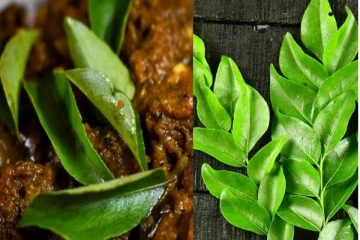 என்னை தூக்கி குப்பையில் வீசாதீங்க ப்ளீஸ்! கறிவேப்பிலை சொல்லும் ஆரோக்கிய ரகசியம்