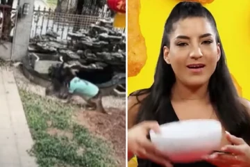 தாய்க்கு நிகராக பாசம் காட்டும் வளர்ப்பு நாய்! கின்னஸ் சாதனை படைத்த பெண்.. வினோத உலகம்