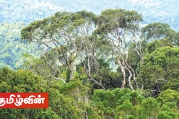 4245 ஏக்கர் அரச காடுகள் விடுவிக்கப்படவுள்ளதாக வனவளத்திணைக்களம் தெரிவிப்பு