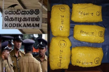 கொடிகாமத்தில் கேரள கஞ்சாவுடன் ஒருவர் கைது