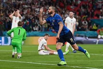 யூரோ கால்பந்து தொடர்! - மைதானத்தில் பரபரப்பை ஏற்படுத்திய நபர்