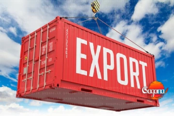 ලංකාවේ අපනයන ආදායම යෝධ පිම්මක් පනී