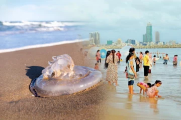 கடலில் நீராடிக் கொண்டிருந்த 10 பேருக்கு காத்திருந்த அதிர்ச்சி!