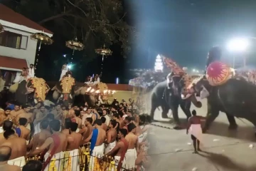 கோயிலில் மதம் பிடித்து வெறியாட்டம் ஆடிய யானை..! எதிரெதிரே மோதிக்கொள்ளும் யானைகளின் பதைபதைக்கும் காட்சிகள்