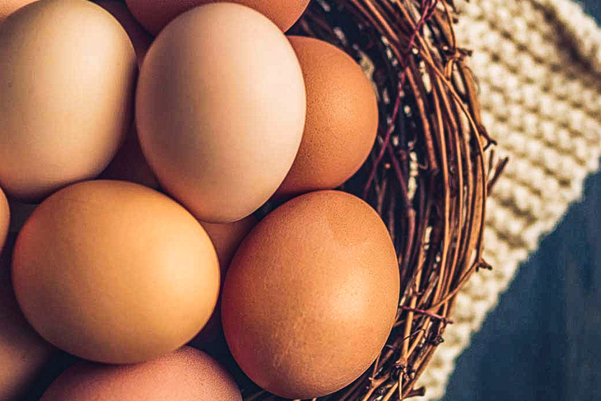 முட்டையின் விலை இன்று முதல் அதிகரிப்பு | Egg Prices To Increase From Today முட்டையின் விலை இன்று முதல் அதிகரிப்பு | Egg Prices To Increase From Today