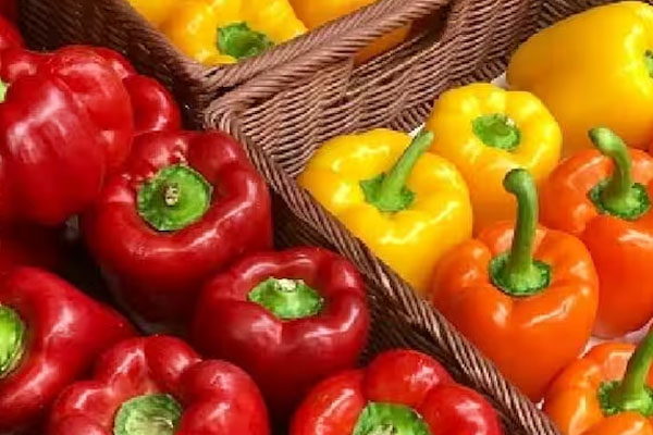 எடை குறைப்புக்கு சிறந்த காய்கறி | Best Vegetable For Weight Loss