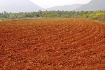 அரசுடமையாக்கப்படும் நிலங்கள்:எடுக்கப்பட்டுள்ள அதிரடி நடவடிக்கை