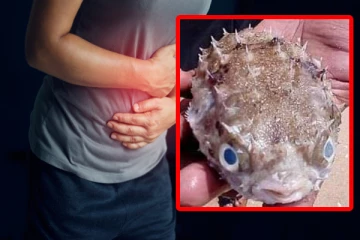 மட்டக்களப்பில் நச்சுத்தன்மையுள்ள மீனை உட்கொண்ட இளம் தாய் உயிரிழப்பு