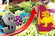 எரிபொருள் விலை உயர்வு மற்றும் மோசமான வானிலை காரணமாக காய்கறி விலைகள் உயர்வு