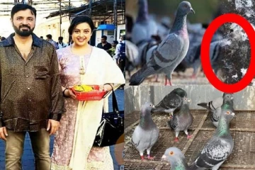 மீனாவின் கணவருக்கு எமனான புறாவின் எச்சம்! இப்படியொரு நோய் உள்ளதா? எச்சரிக்கை தகவல்