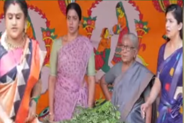 vanitha in idhayam serial