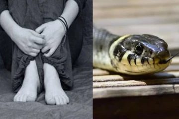 மருமகளை பாம்பை விட்டு கடிக்க வைத்த மாமியார் - நடுங்கவைக்கும் பின்னணி