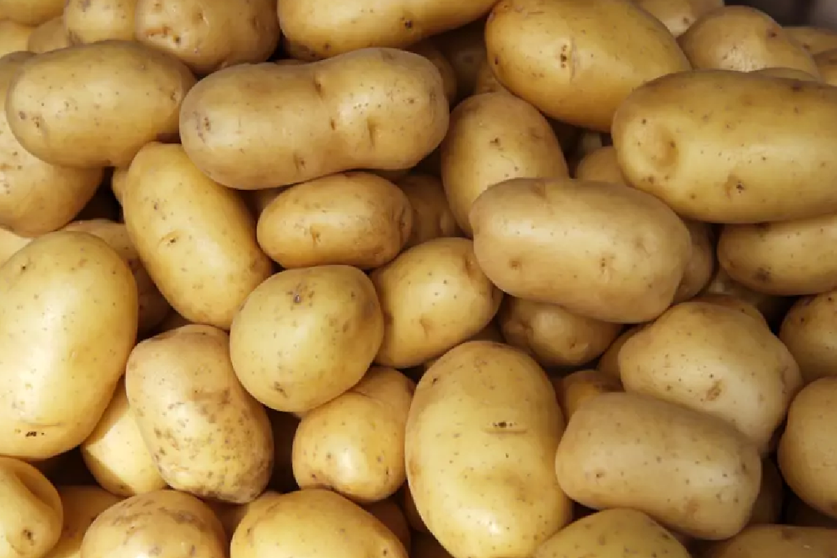 හොය හොය කන අලවල මෙහෙම තිබ්බොත් කන්න තියා හිතන්නවත් එපා | Green Potatoes Why They Can Be Harmful හොය හොය කන අලවල මෙහෙම තිබ්බොත් කන්න තියා හිතන්නවත් එපා | Green Potatoes Why They Can Be Harmful