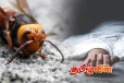 புல்லறுக்க சென்ற நபர் குளவி கொட்டுக்கு இலக்காகி பரிதாப மரணம்