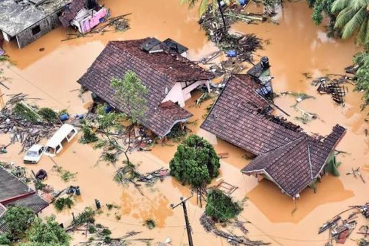 தீவிரமடையும் நோய் பரவல் - இலங்கை மக்களுக்கு விடுக்கப்பட்டுள்ள அவசர எச்சரிக்கை | Fever Warning To The Srilanka People தீவிரமடையும் நோய் பரவல் - இலங்கை மக்களுக்கு விடுக்கப்பட்டுள்ள அவசர எச்சரிக்கை | Fever Warning To The Srilanka People