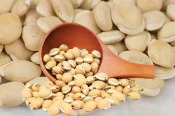 எண்ணிலடங்கா நன்மைகளைக் கொண்டுள்ள மொச்சைக் கொட்டை!