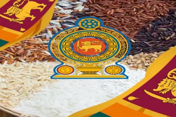 சந்தையில் தொடரும் அரிசிக்கான தட்டுப்பாடு!