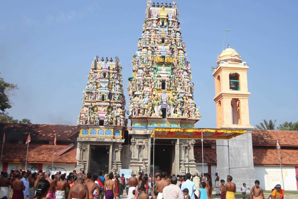 திருமணம் தள்ளிக்கொண்டே போகின்றதா? இந்த பரிகாரத்தை செய்து பாருங்கள்! | Still Not Married After 30 Years Try This