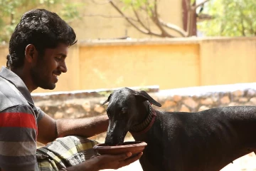 பரியேறும் பெருமாள் 'கருப்பி' மரணம்.. நடிகர் கதிர் உருக்கமான பதிவு