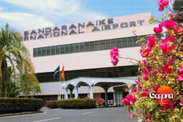 කටුනායකෙන් මතුවුණ භාණ්ඩේ මෙන්න - රේගුවෙන් වටලයි