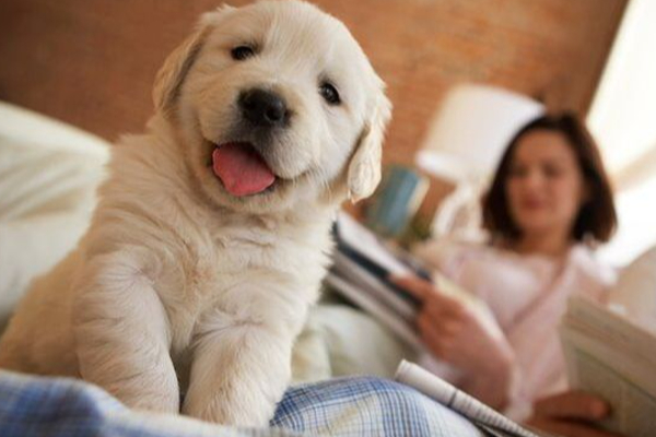 காலை எழுந்தவுடன் இதையெல்லாம் பார்க்காதீர்கள்! தேவையில்லாத பிரச்சனையை சந்திப்பீர்கள் | Don T Watch All This When You Wake Up Morning