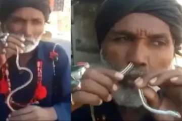 துடித் துடிக்கும் பாம்பு.... மூக்கு வழியே விட்டு வாய் வழியே எடுக்கும் முதியவர்! தீயாய் பரவும் அதிர்ச்சி காட்சி