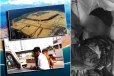 கடத்தல் - சடலம் - 2 கோடி கொள்ளை: இலங்கையில் சீன நாட்டினரைச் சுற்றி மர்மத் தொடர் சம்பவங்கள்