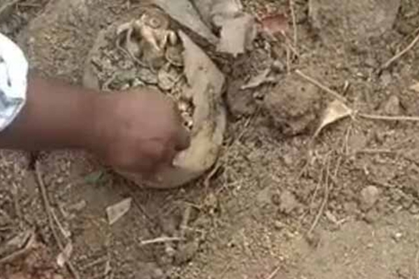 நிலத்தை தோண்டும் போது கிடைத்த பழமை வாய்ந்த தங்கப் புதையல்! | Ancient Gold Treasure Found While Digging Ground