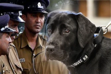 யுக்தியவின் அடுத்த கட்ட நடவடிக்கை : வீதித் தடைகளில் மோப்ப நாய்கள்